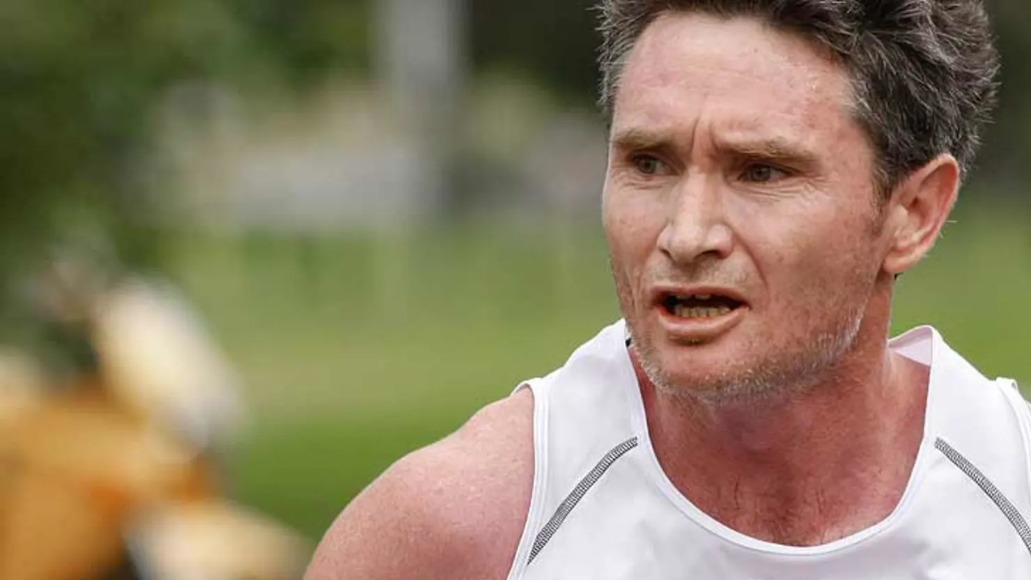 dave Hughes